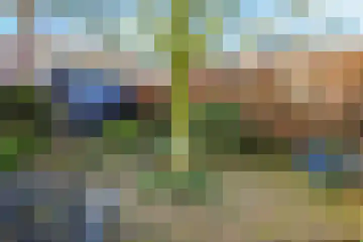 ir. Munterlaan 31 Heveadorp thumbnail 52
