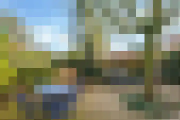 ir. Munterlaan 31 Heveadorp thumbnail 55