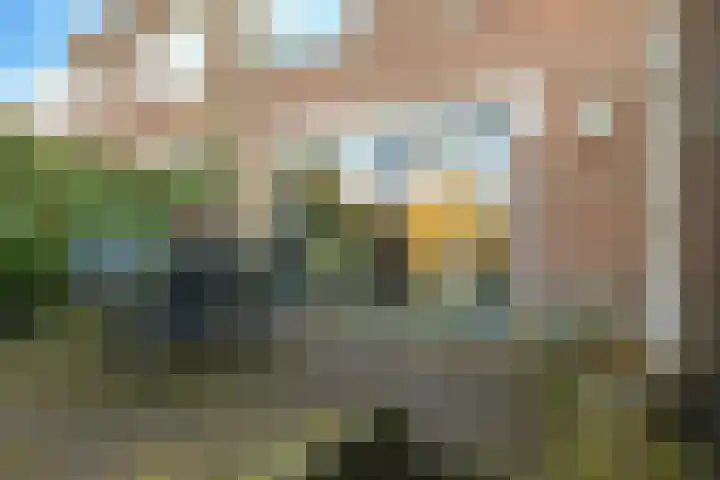ir. Munterlaan 31 Heveadorp thumbnail 56