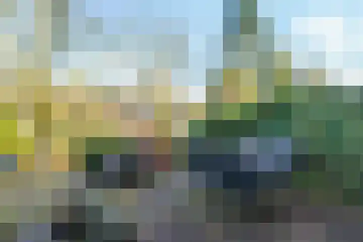 ir. Munterlaan 31 Heveadorp thumbnail 59