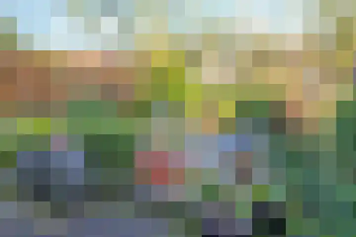 ir. Munterlaan 31 Heveadorp thumbnail 60