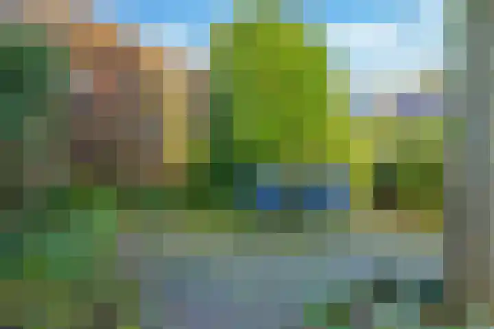 ir. Munterlaan 31 Heveadorp thumbnail 62
