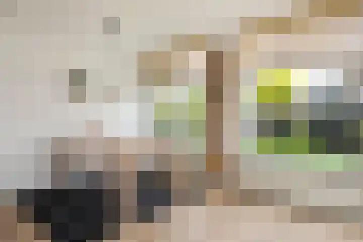 ir. Munterlaan 33 Heveadorp thumbnail 12