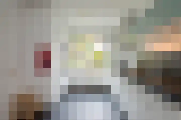 ir. Munterlaan 33 Heveadorp thumbnail 19