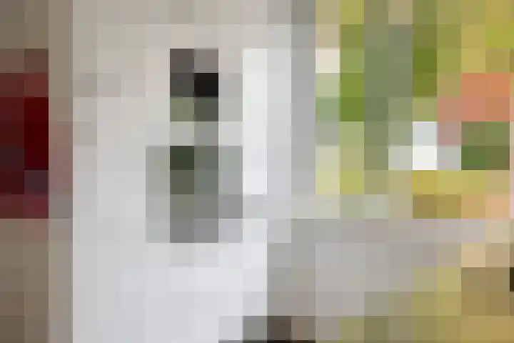 ir. Munterlaan 33 Heveadorp thumbnail 21