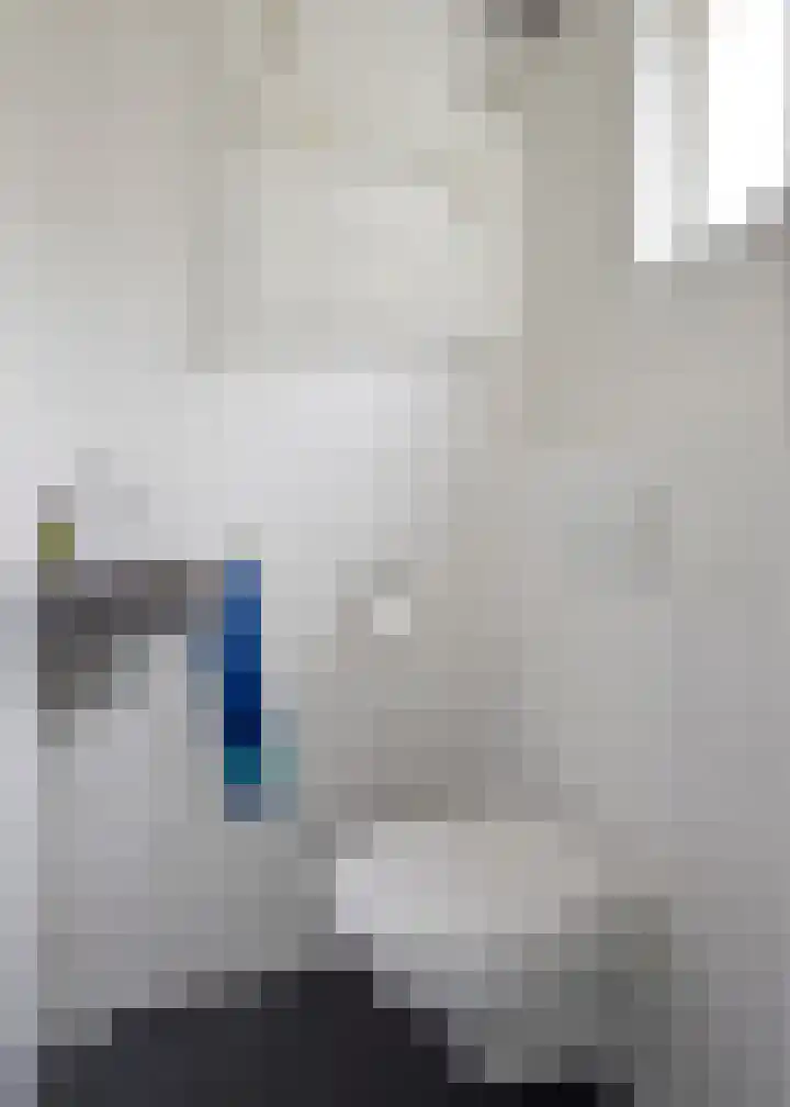 ir. Munterlaan 33 Heveadorp thumbnail 22