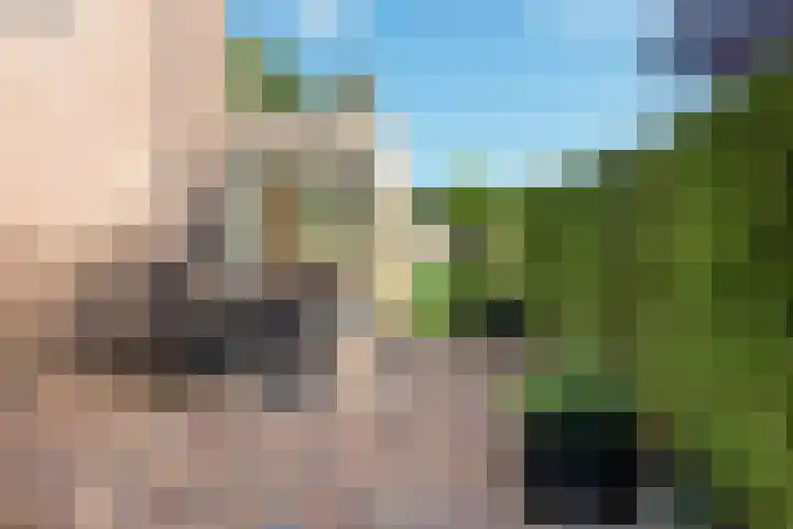 ir. Munterlaan 33 Heveadorp thumbnail 46