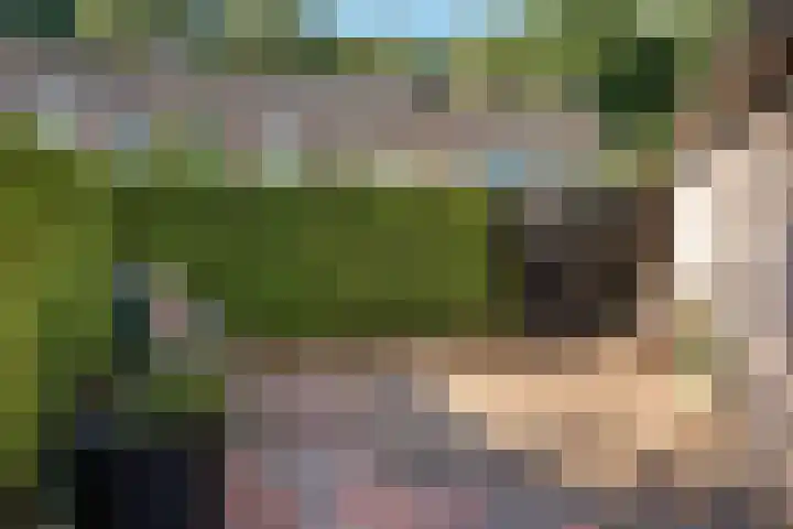 ir. Munterlaan 33 Heveadorp thumbnail 49