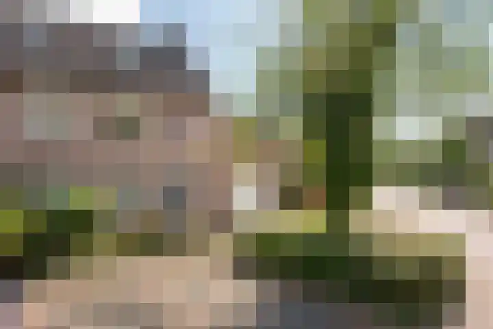 ir. Munterlaan 33 Heveadorp thumbnail 56