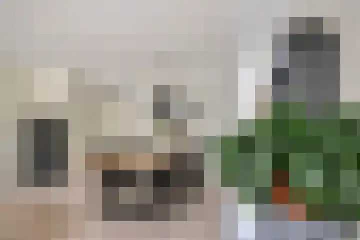 ir. Munterlaan 48 Heveadorp thumbnail 13