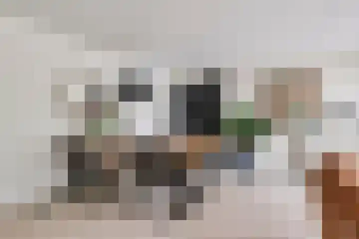 ir. Munterlaan 48 Heveadorp thumbnail 14