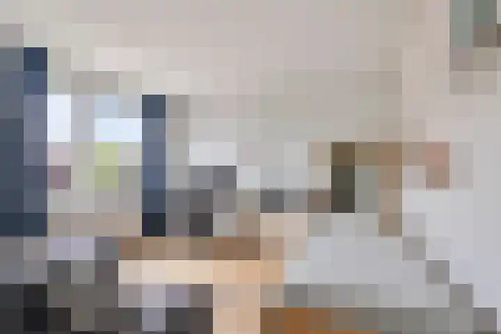 ir. Munterlaan 48 Heveadorp thumbnail 20