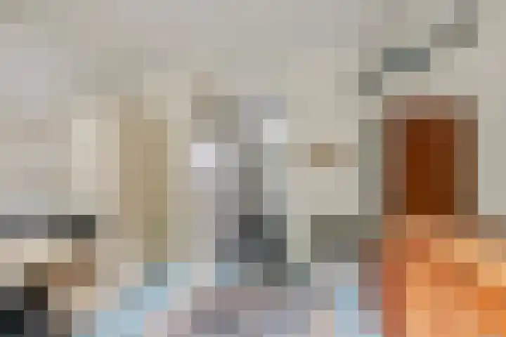 ir. Munterlaan 48 Heveadorp thumbnail 25