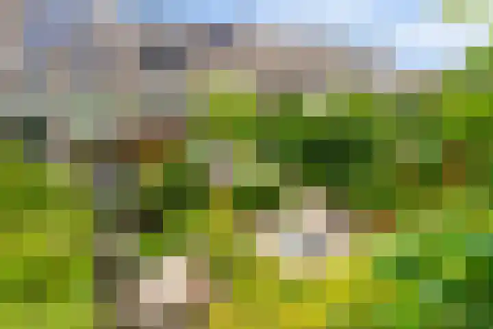 ir. Munterlaan 48 Heveadorp thumbnail 33