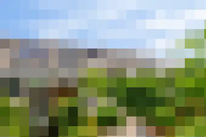 ir. Munterlaan 48 Heveadorp thumbnail 34