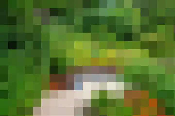 ir. Munterlaan 48 Heveadorp thumbnail 35