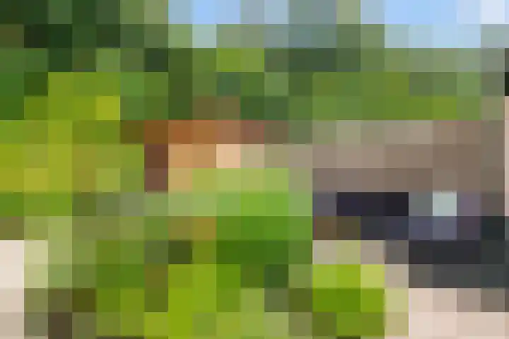 ir. Munterlaan 48 Heveadorp thumbnail 38