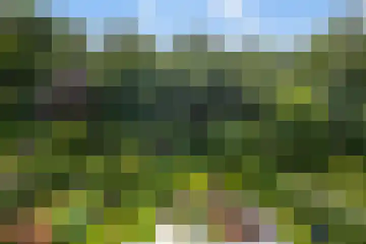 ir. Munterlaan 48 Heveadorp thumbnail 40