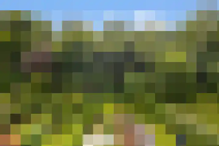 ir. Munterlaan 48 Heveadorp thumbnail 41