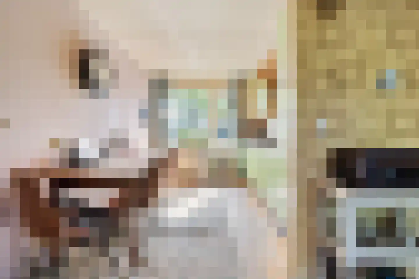 ir. Munterlaan 70 Heveadorp thumbnail 13