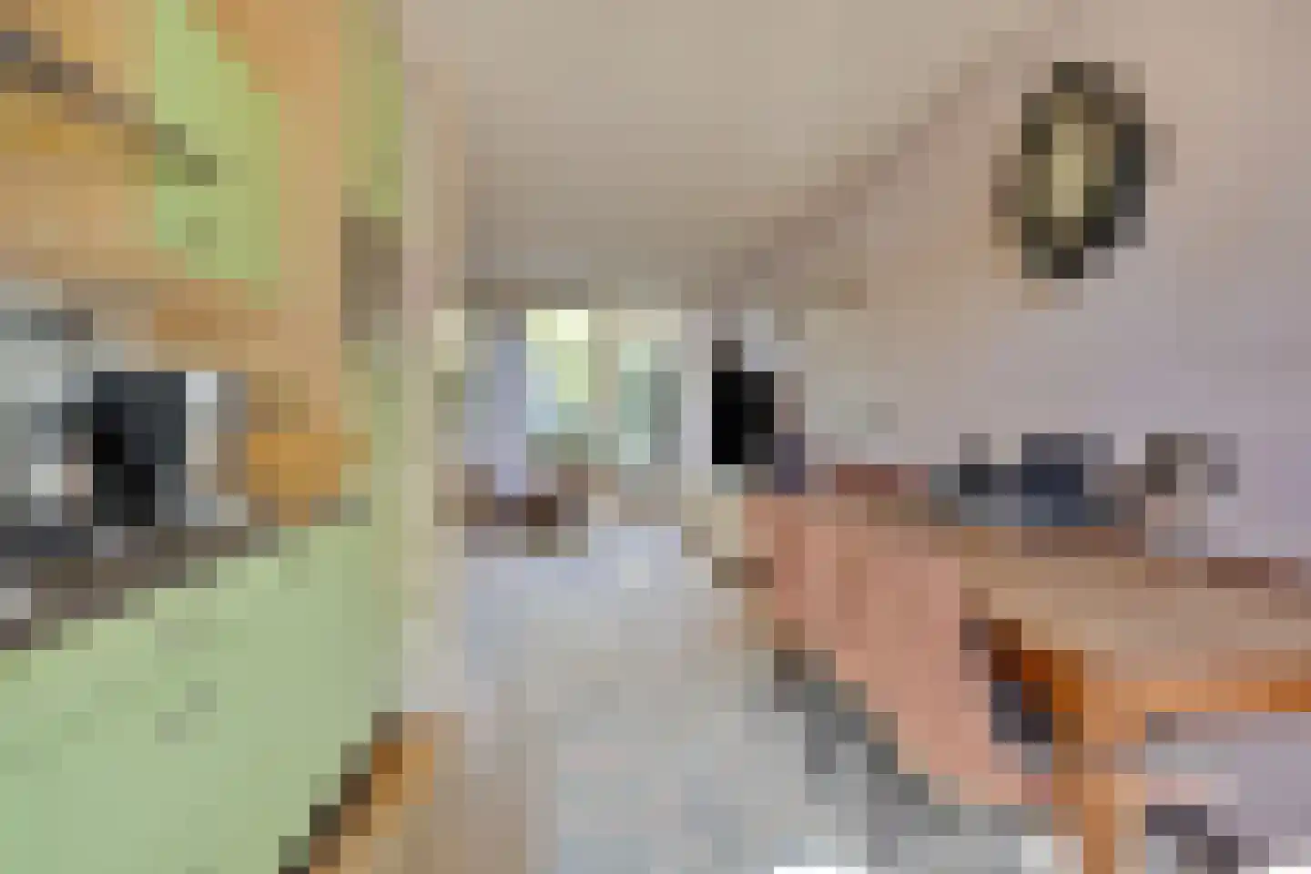 ir. Munterlaan 70 Heveadorp thumbnail 15