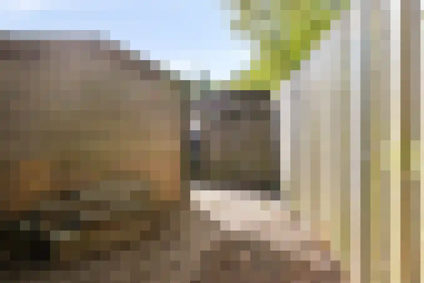 ir. Munterlaan 70 Heveadorp thumbnail 20