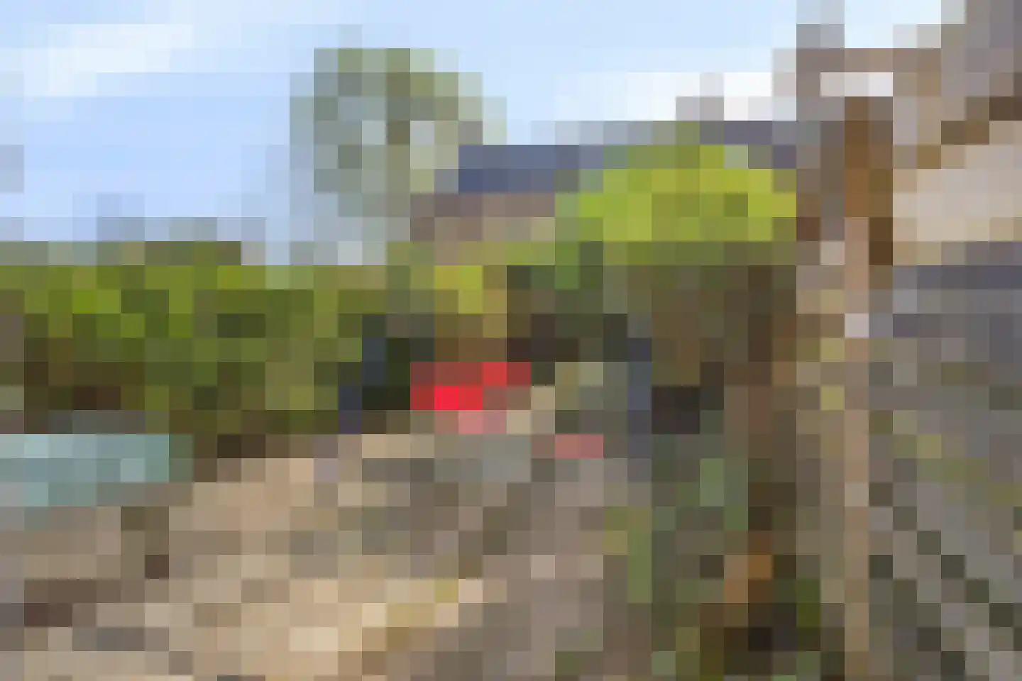 ir. Munterlaan 70 Heveadorp thumbnail 21