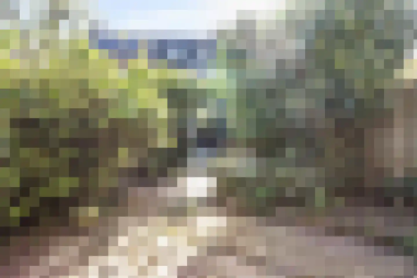 ir. Munterlaan 70 Heveadorp thumbnail 22