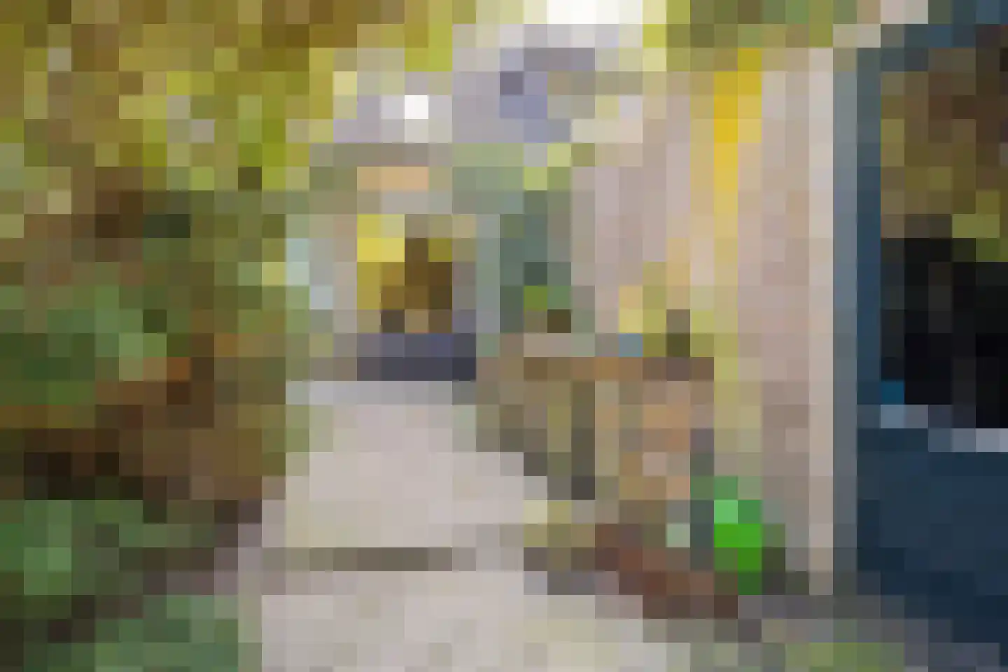 ir. Munterlaan 70 Heveadorp thumbnail 24