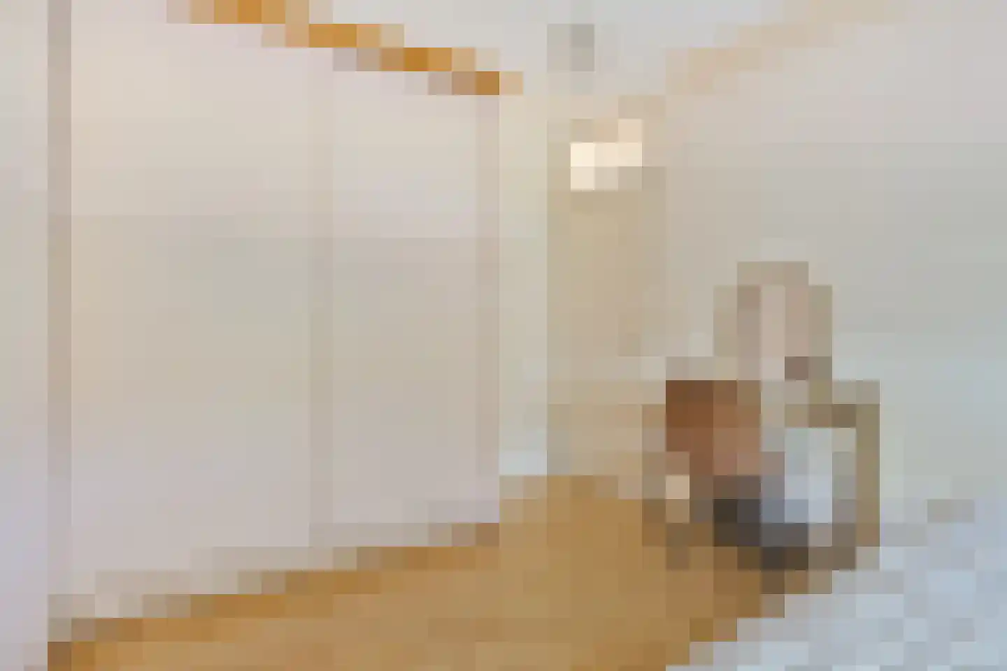 ir. Munterlaan 70 Heveadorp thumbnail 29