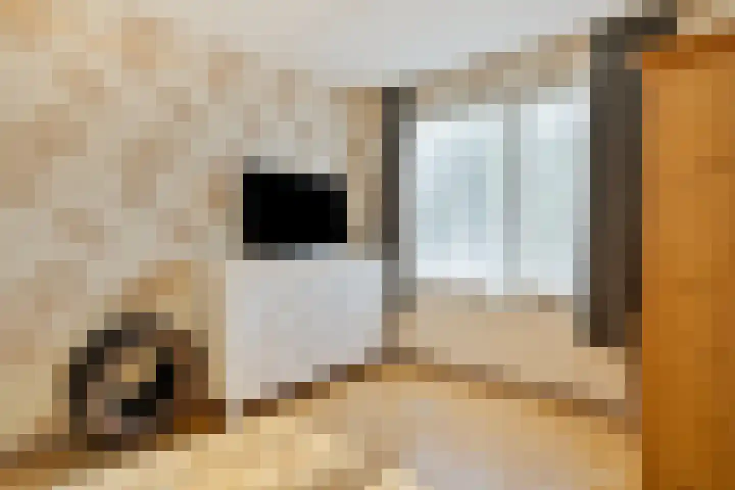 ir. Munterlaan 70 Heveadorp thumbnail 30