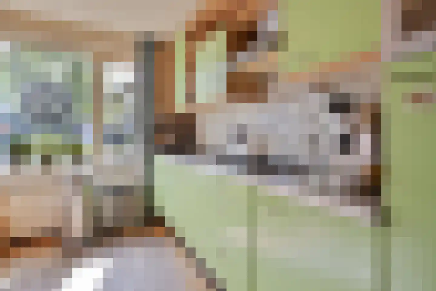 ir. Munterlaan 70 Heveadorp thumbnail 4