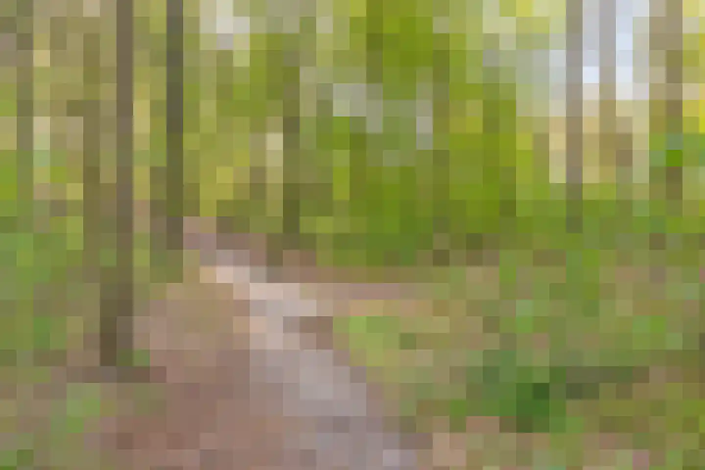 ir. Munterlaan 70 Heveadorp thumbnail 46