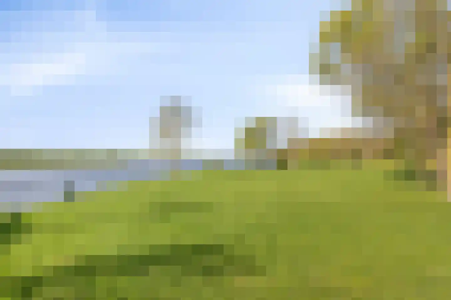 ir. Munterlaan 70 Heveadorp thumbnail 55