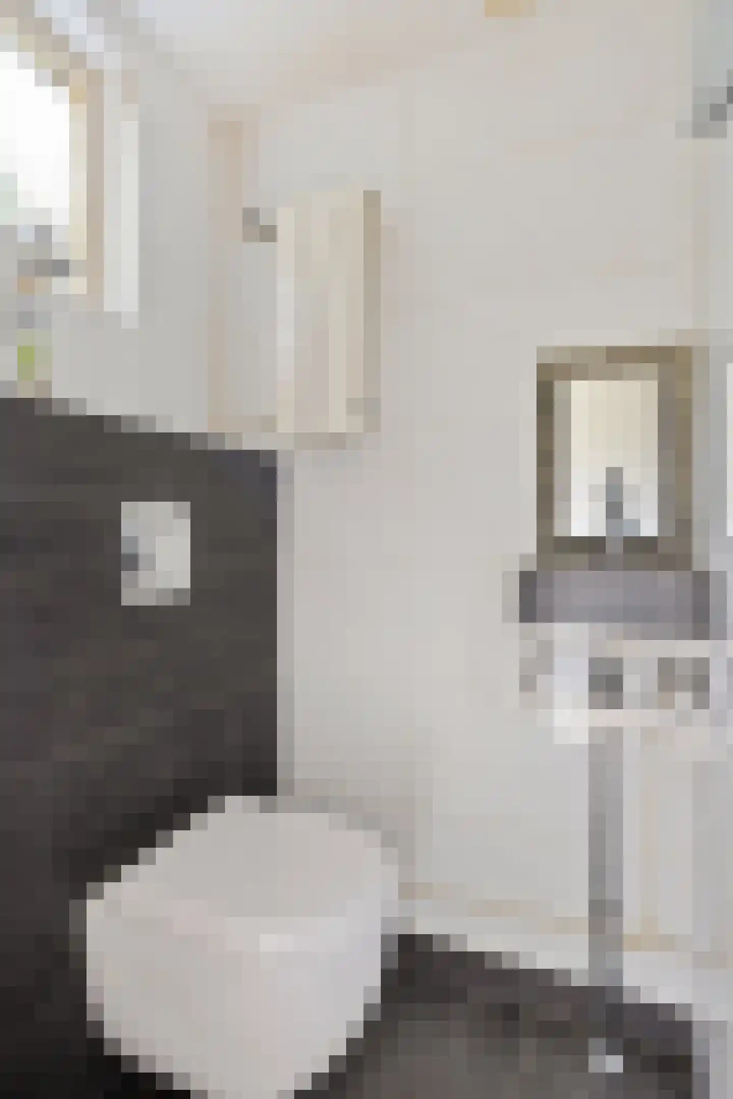 ir. Munterlaan 70 Heveadorp thumbnail 8