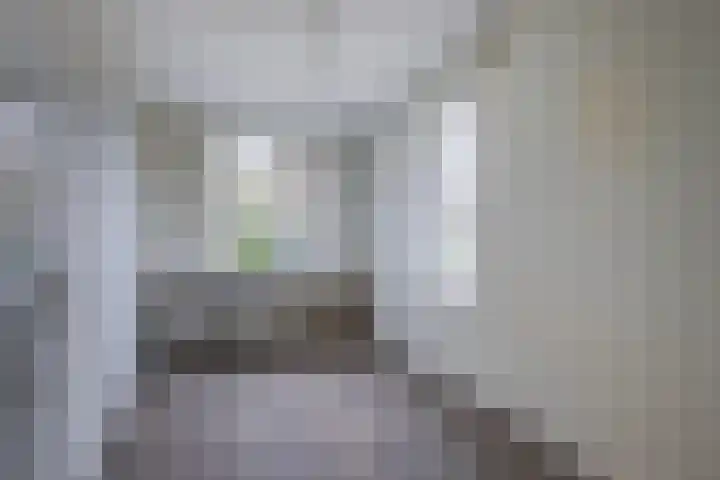 ir. Munterlaan 72 Heveadorp thumbnail 15
