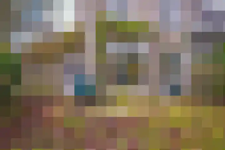 ir. Munterlaan 72 Heveadorp thumbnail 23