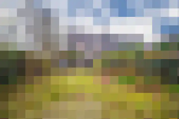 ir. Munterlaan 72 Heveadorp thumbnail 24