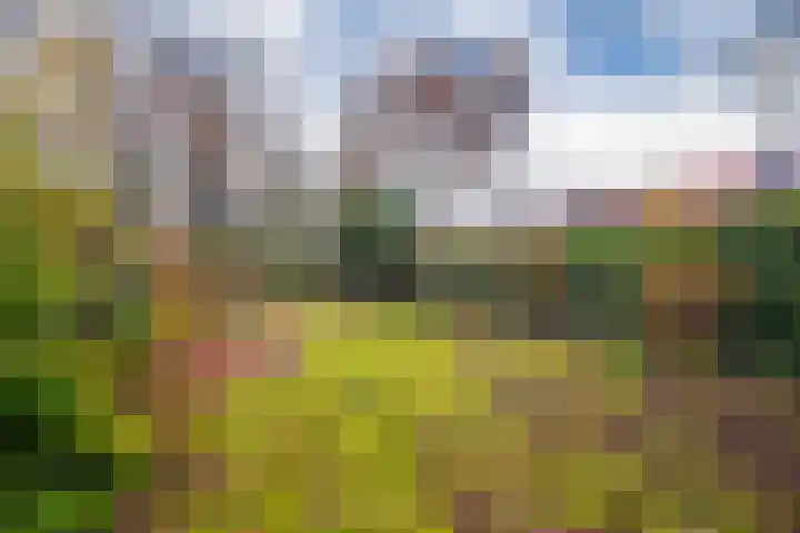 ir. Munterlaan 72 Heveadorp thumbnail 25