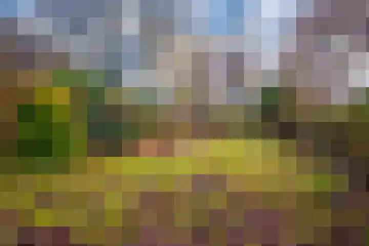 ir. Munterlaan 72 Heveadorp thumbnail 26