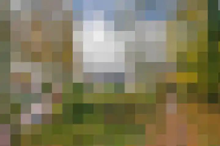 ir. Munterlaan 72 Heveadorp thumbnail 27