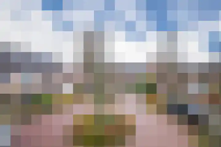ir. Munterlaan 72 Heveadorp thumbnail 29