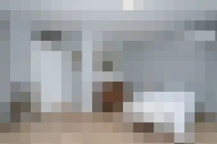 Ir. Op den Kampstraat 20 Brunssum thumbnail 13