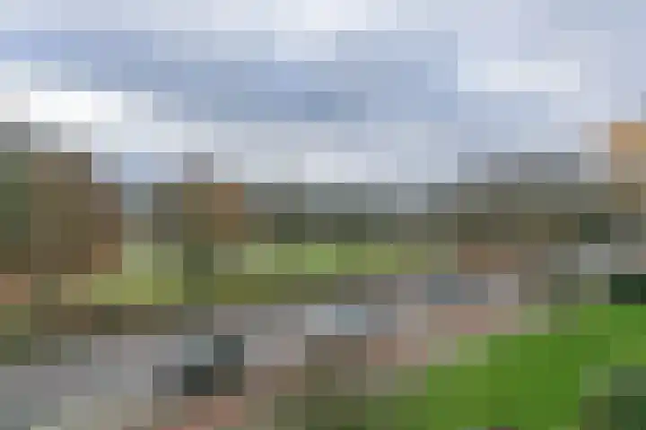 Ir. Op den Kampstraat 20 Brunssum thumbnail 23