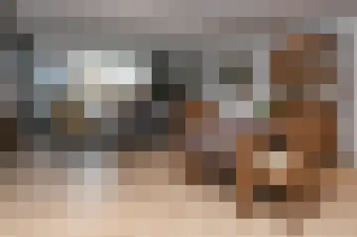 Ir. Op den Kampstraat 20 Brunssum thumbnail 4