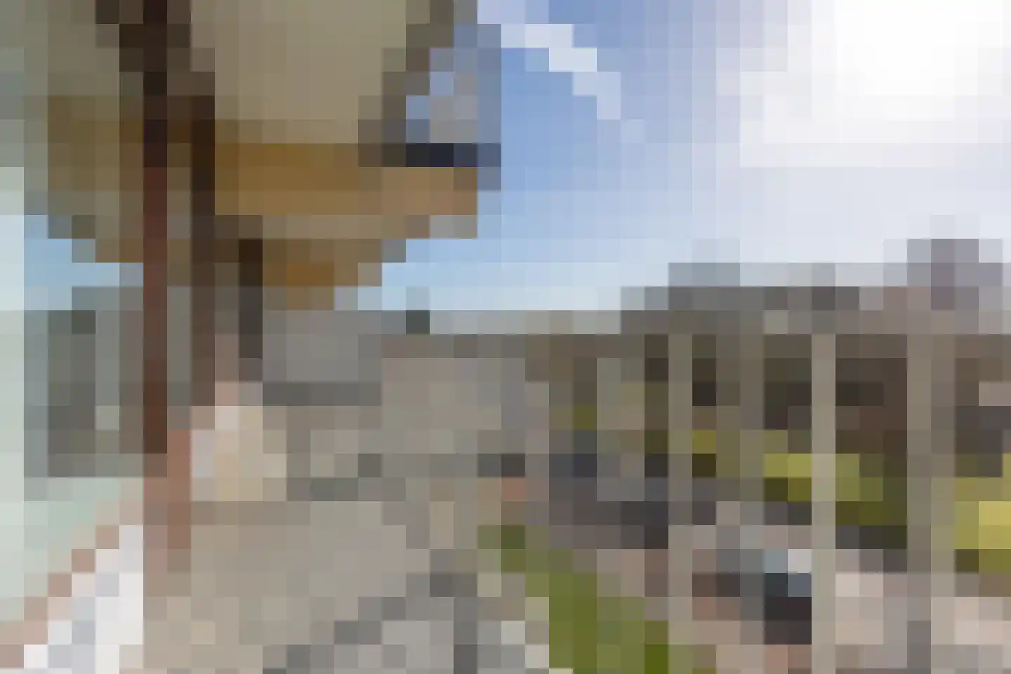 Ir. Op den Kampstraat 28 Brunssum thumbnail 17