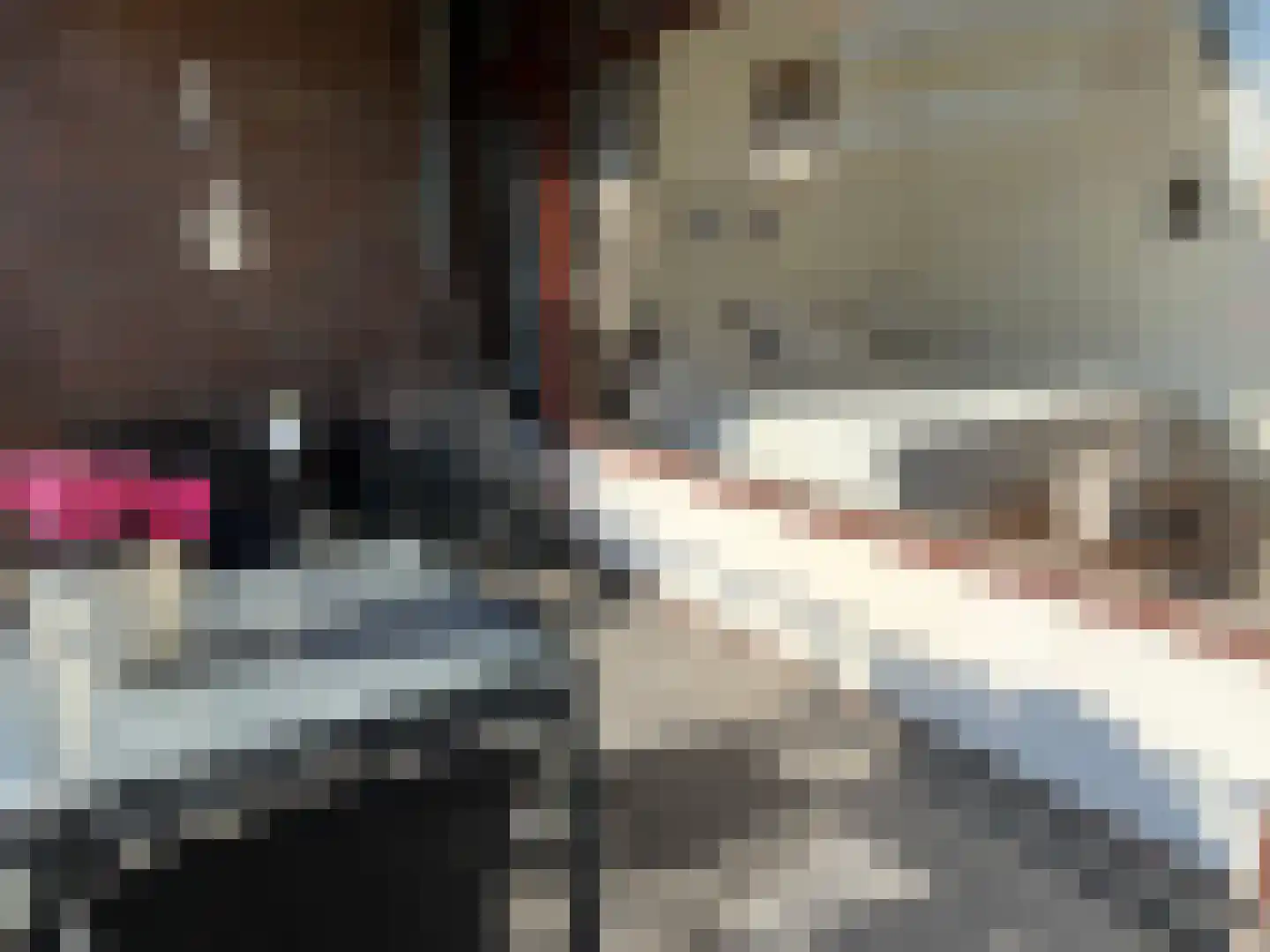 Ir. Op den Kampstraat 31 Brunssum thumbnail 14