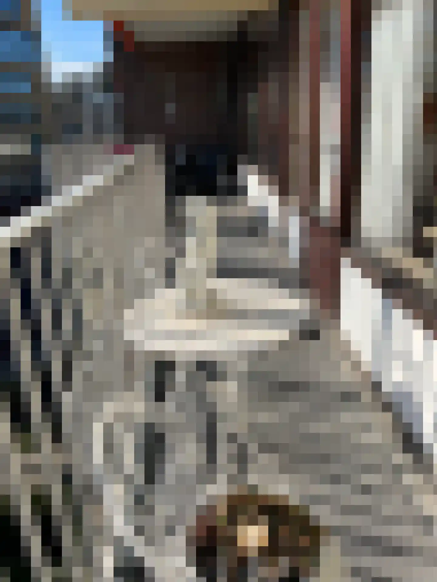 Ir. Op den Kampstraat 31 Brunssum thumbnail 16
