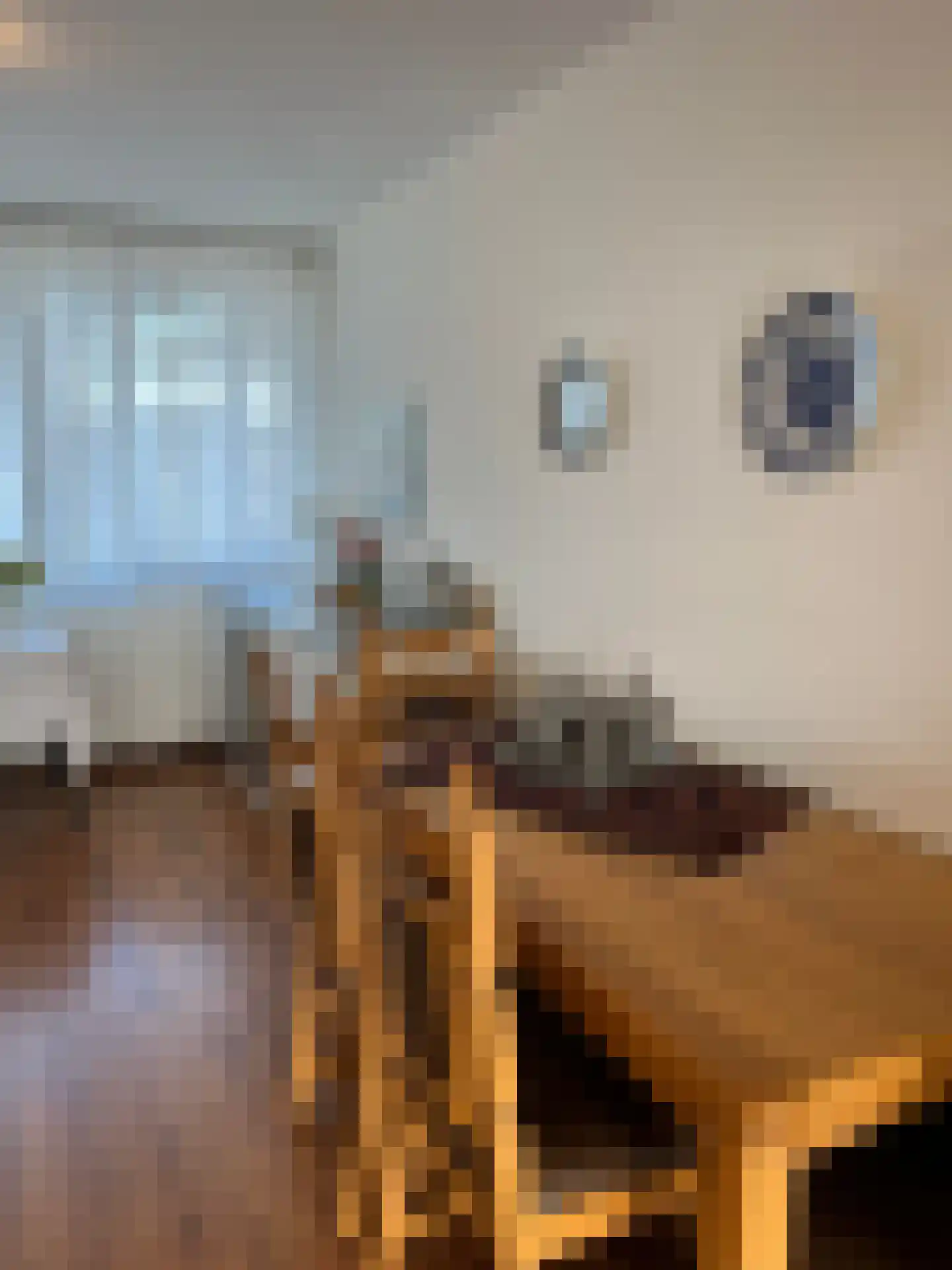 Ir. Op den Kampstraat 31 Brunssum thumbnail 6