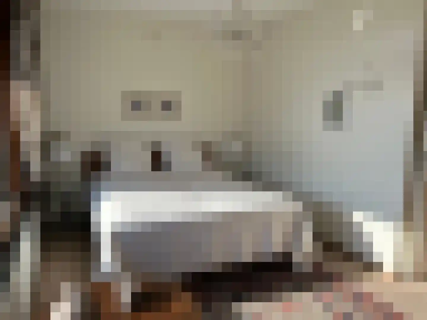 Ir. Op den Kampstraat 31 Brunssum thumbnail 8
